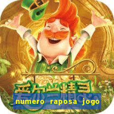 numero raposa jogo do bicho